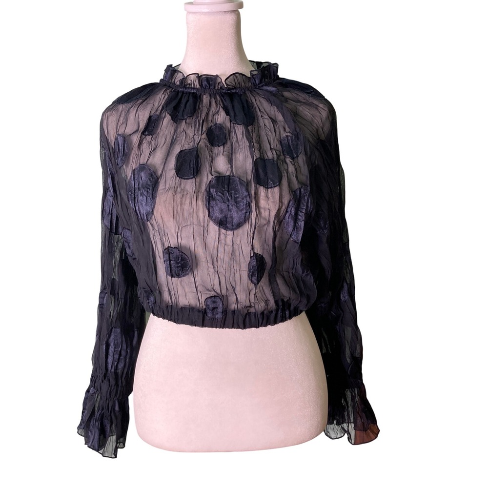 Zara Sheer Black Polka Dot Crop Top Blouse High Neck Ruffles Festival (Size M)